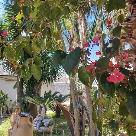 Проживание в семье Like At Salento - Rustic *