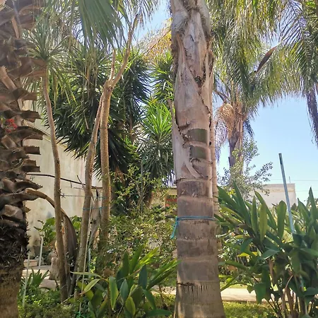 Like At Salento - Rustic *