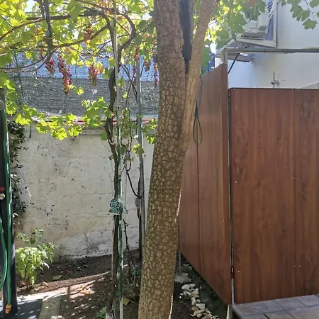 Like At Salento - Rustic