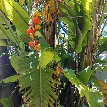 Like At Salento - Rustic Ubytování v soukromí *