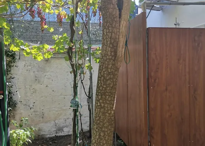 Like At Salento - Rustic