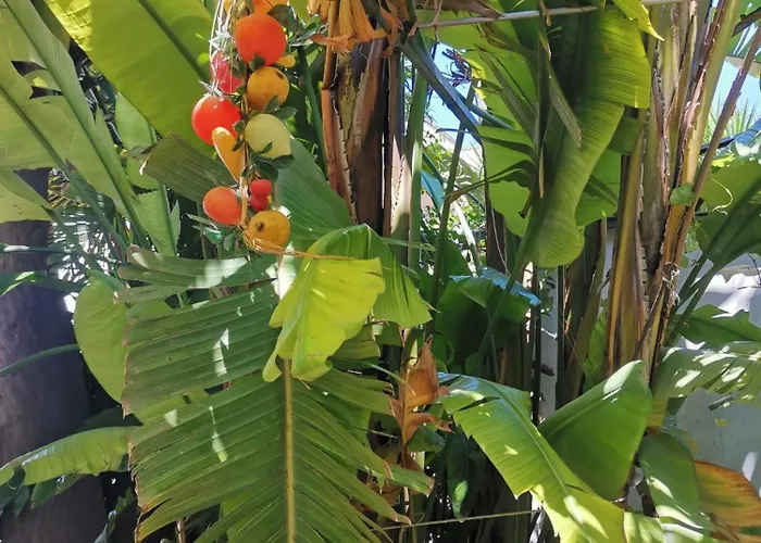 Like At Salento - Rustic Alloggio in famiglia *